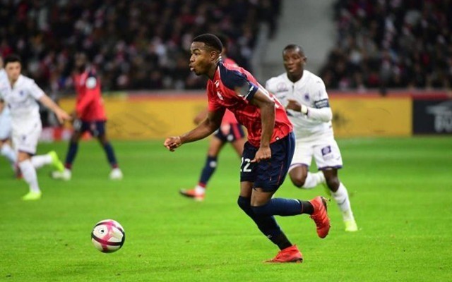 全面的课程 全面的课程