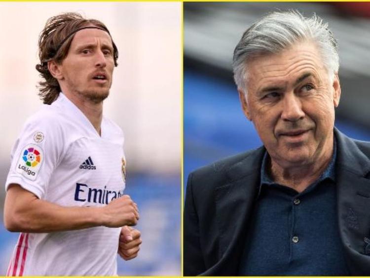 将使他有机 将使他有机