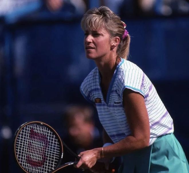 特书的亮点 特书的亮点